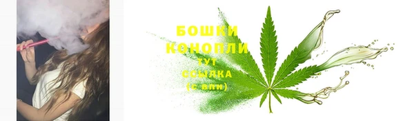 соль ск Зеленодольск