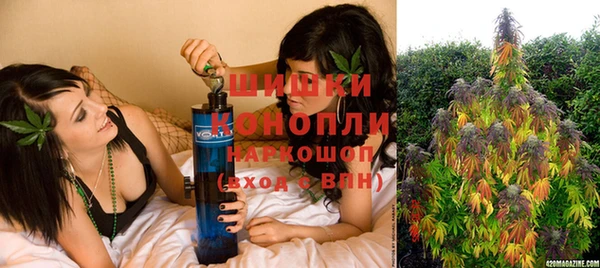 шишки Заволжск