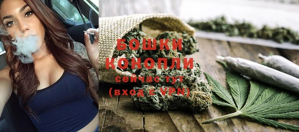 шишки Заволжск