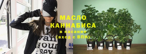 шишки Заволжск