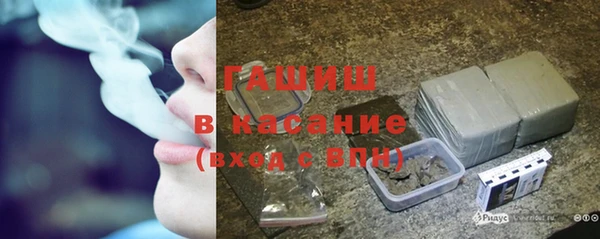 шишки Заволжск